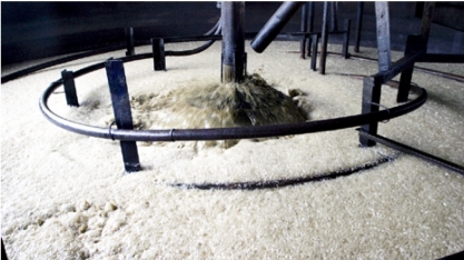 Os malefícios do excesso de espuma na produção de etanol de cana