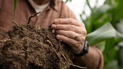 Bayer lança solução com IA para recomendar manejos focados em carbono no solo e na redução das emissões de CO2 