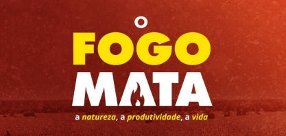 UDOP lança Campanha #ZeroIncêndios 2024 com ênfase em conscientização ambiental e denúncia para as autoridades