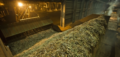 Complexo sucroalcooleiro lidera balança comercial do Agro Paulista