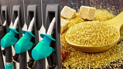 Etanol registra a décima baixa consecutiva no Indicador Diário Paulínia; Açúcar cai