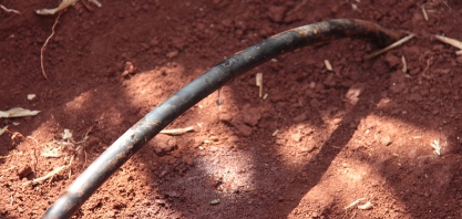 Entenda a relação entre a irrigação por gotejamento e a valorização das fazendas