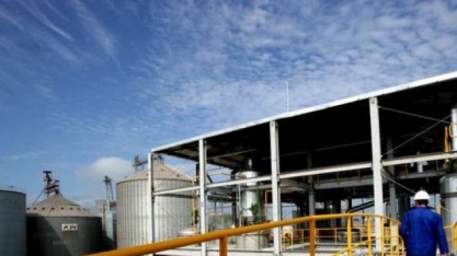 Oleoplan e Cofco renovam certificações do Renovabio