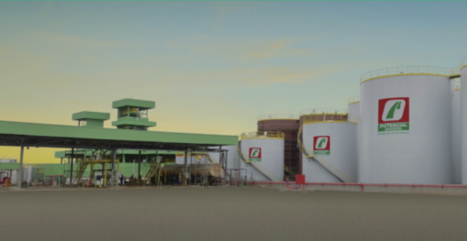 Foto: Reprodução / Potencial