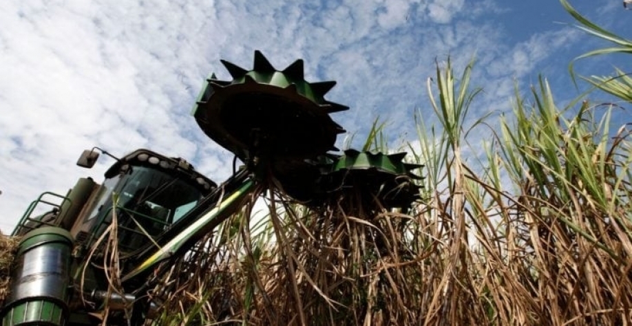 Foto: Nacho Doce/Reuters