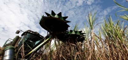 Moagem de cana e vendas de etanol têm altas expressivas em Goiás