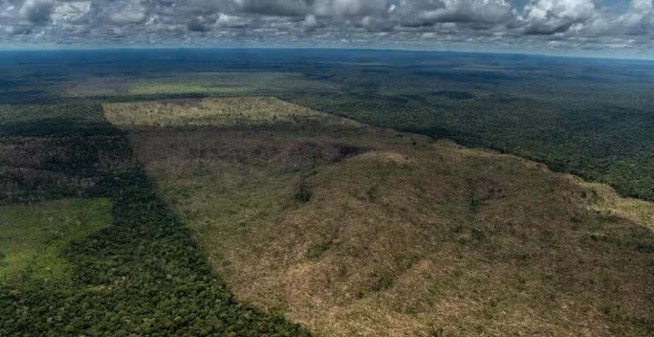 Wojciechowski, da Comissão Europeia: ‘É preciso melhorar a comunicação’ — Foto: Christian Braga / Greenpeace