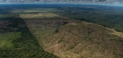 ‘Adiar lei antidesmatamento por um ano seria a lógica’, diz comissário europeu