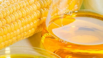 Margem bruta de processamento das usinas de etanol de milho em MT caiu 7,95% em maio