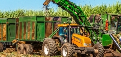 Cana: Jalles Machado registra lucro líquido de R$ 85,1 mi na safra 2023/24 (-87,7% ante 2022/23)