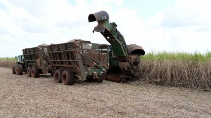 Diário Oficial traz veto parcial a proposição sobre produção de açúcar e etanol