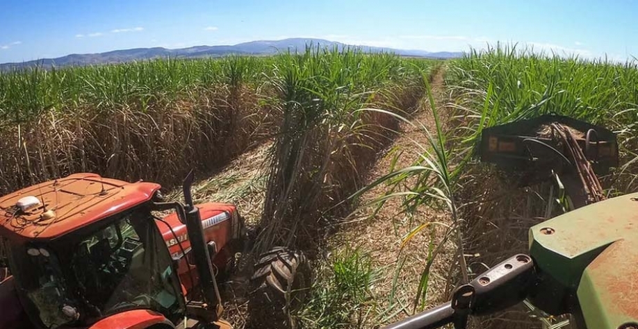 Clima seco acelera as atividades de colheita da cana-de-açúcar — Foto: Wenderson Araujo/CNA