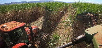 Preços do etanol sobem enquanto os do açúcar se estabilizam
