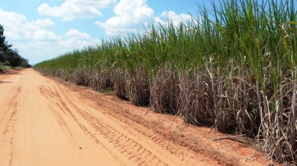 Inmet alerta para baixa umidade no Centro-Oeste e Sudeste; chuvas devem voltar no RS na sexta-feira