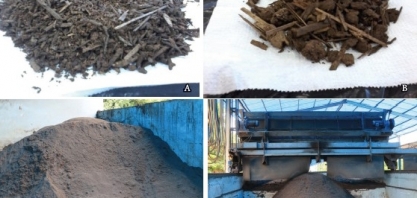 Entender a matéria orgânica do solo em ambientes tropical e subtropical ajuda a aumentar a produtividade agrícola e combater as mudanças climáticas