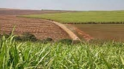 ANP divulga metas atualizadas para as distribuidoras em 2024 no âmbito do RenovaBio