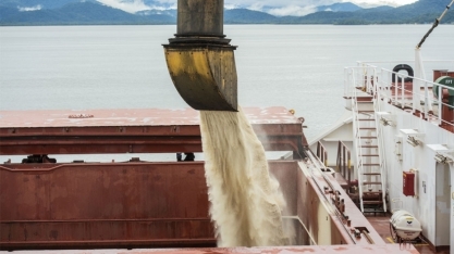 Açúcar: Brasil segue como importante fornecedor internacional, de olho no clima durante o inverno