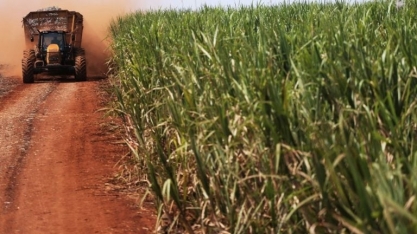 Mercado global de açúcar deve ter excedente de 5,5 mi t na temporada 24/25