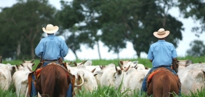 JBS amplia programa de regularização ambiental do produtor e foca mais 1,3 mil propriedades