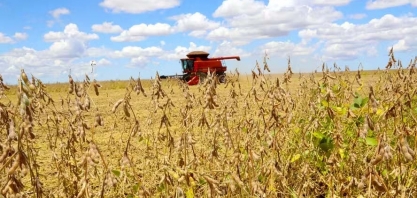 Quanto o Brasil lucra com a soja?