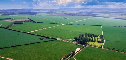 Nuseed apresenta potencial de variedades Vertix para a produção de etanol em evento da Udop