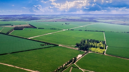 Nuseed apresenta potencial de variedades Vertix para a produção de etanol em evento da Udop