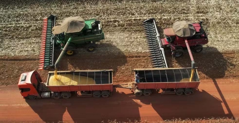 Na safra 2022/23 foram produzidas 52,5 milhões de toneladas do cereal em MT — Foto: Wilson Ribeiro/TV Centro América