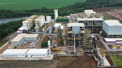 Combustível limpo: cana-de-açúcar é o caminho para transição energética no Brasil