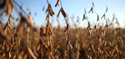 Abiove vê biocombustível com fator para avanço da soja diante de estratégia chinesa