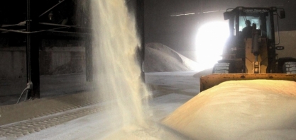 Café e algodão têm manhã positiva em Nova York