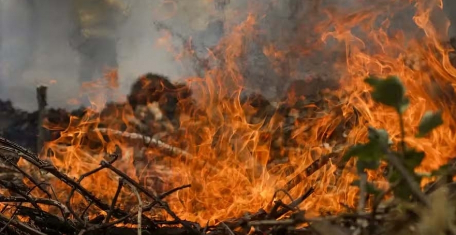 O bioma que mais queimou proporcionalmente a sua área foi o Pantanal, com 9 milhões de hectares — Foto: Joédson Alves/Agência Brasil