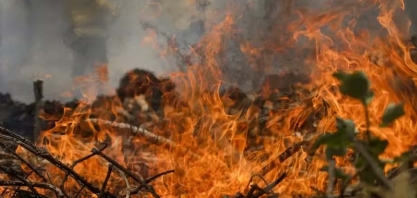 Um em cada quatro hectares do Brasil pegou fogo nos últimos 39 anos