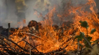 Um em cada quatro hectares do Brasil pegou fogo nos últimos 39 anos