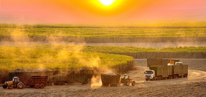 Moagem de cana-de-açúcar atinge 44,75 milhões de toneladas na primeira quinzena de maio