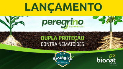 Bionat lança o bionematicida PEREGRINO no Paraguai e marca sua chegada ao país