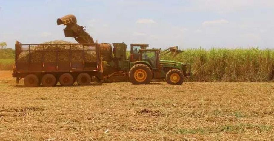 Máquina opera na colheita de cana em lavoura na região de Novas Alvorada do Sul, em MS. (Foto: Arquivo/Governo MS)