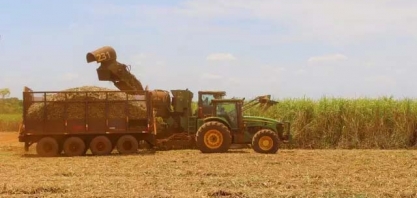 Estiagem provoca perda de 3,5% na produtividade da cana em MS