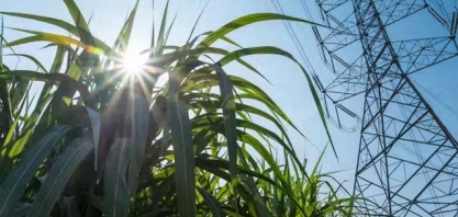 CEISE Br apoia a criação do NEP Bio – Núcleo Estratégico de Pessoas da Bioenergia