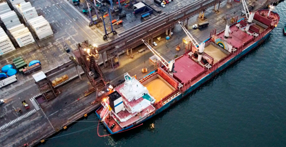 Navio de soja no porto de Paranaguá, no Paraná (Foto: Rodolfo Buhrer/Reuters)