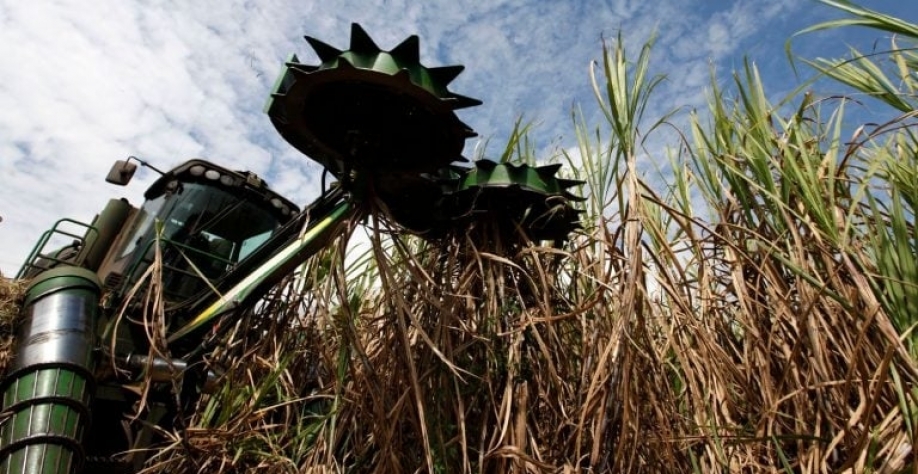 Colheita de cana em Piracicaba. Reuters