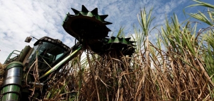 Raízen faz 1ª exportação de etanol celulósico produzido na nova unidade de Guariba