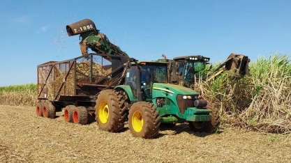 Preços do etanol e do açúcar acumulam quedas em maio em São Paulo