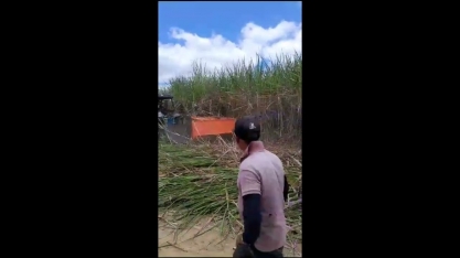 Cortadora de cana adquirida pela Associação Fornecedores de Pernambuco passa por ajustes técnicos