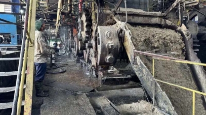 Por que indústria do açúcar de Cuba regrediu 2 séculos em 5 anos