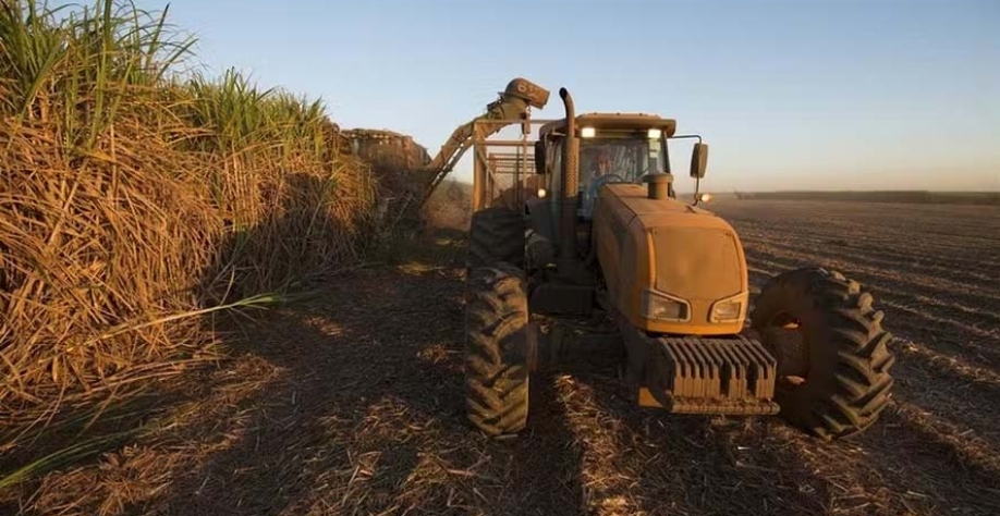 Colheita e da moagem de cana-de-açúcar da safra 2024/25 segue avançando — Foto: Raizen/Divulgação