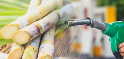 Emissões de gases do efeito estufa evitadas pela presença da bioenergia atingiram 14,9 milhões de toneladas de CO2 equivalente no 1º trimestre