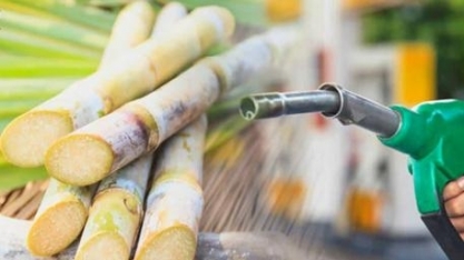 Emissões de gases do efeito estufa evitadas pela presença da bioenergia atingiram 14,9 milhões de toneladas de CO2 equivalente no 1º trimestre