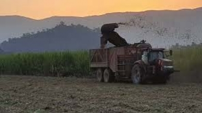Greves em usinas de açúcar colocam em risco a safra de cana da Austrália