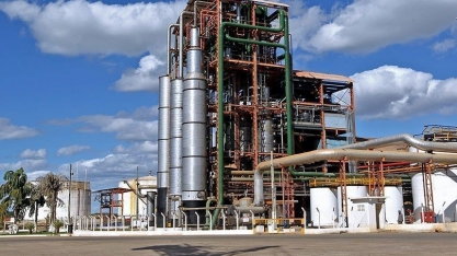 Levantamento do Cepea indica aumento no volume e preço do etanol hidratado em usinas paulistas