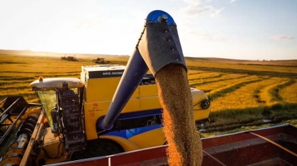 Conab reduz em 7% estimativa de produção de grãos em 2023/24
